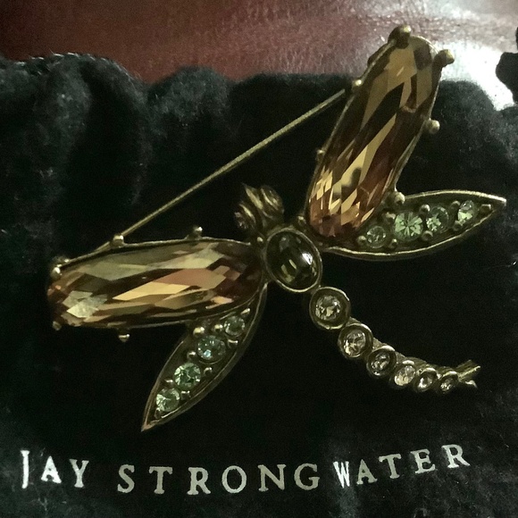 Jay Strongwater , dragonfly brooch . - Picture 1 of 3